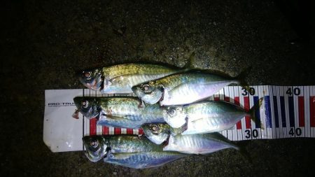 雨の中のピンポイントアジング